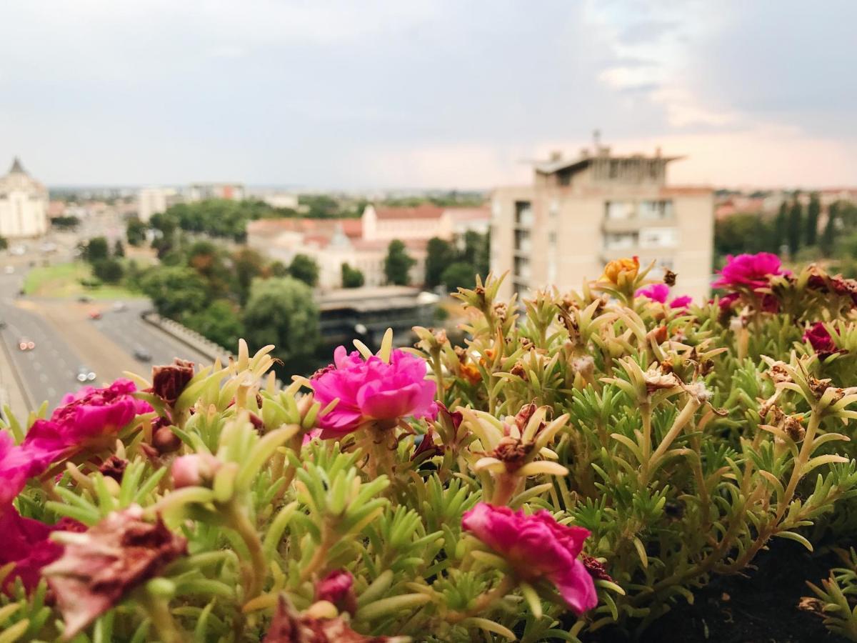 Over The City Oradea Zewnętrze zdjęcie